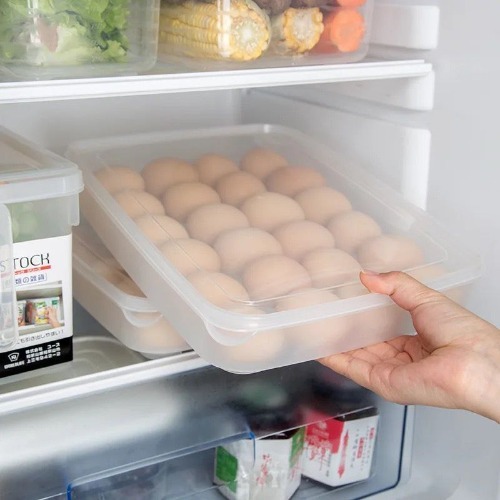 24 Grid Egg Box  Plastic