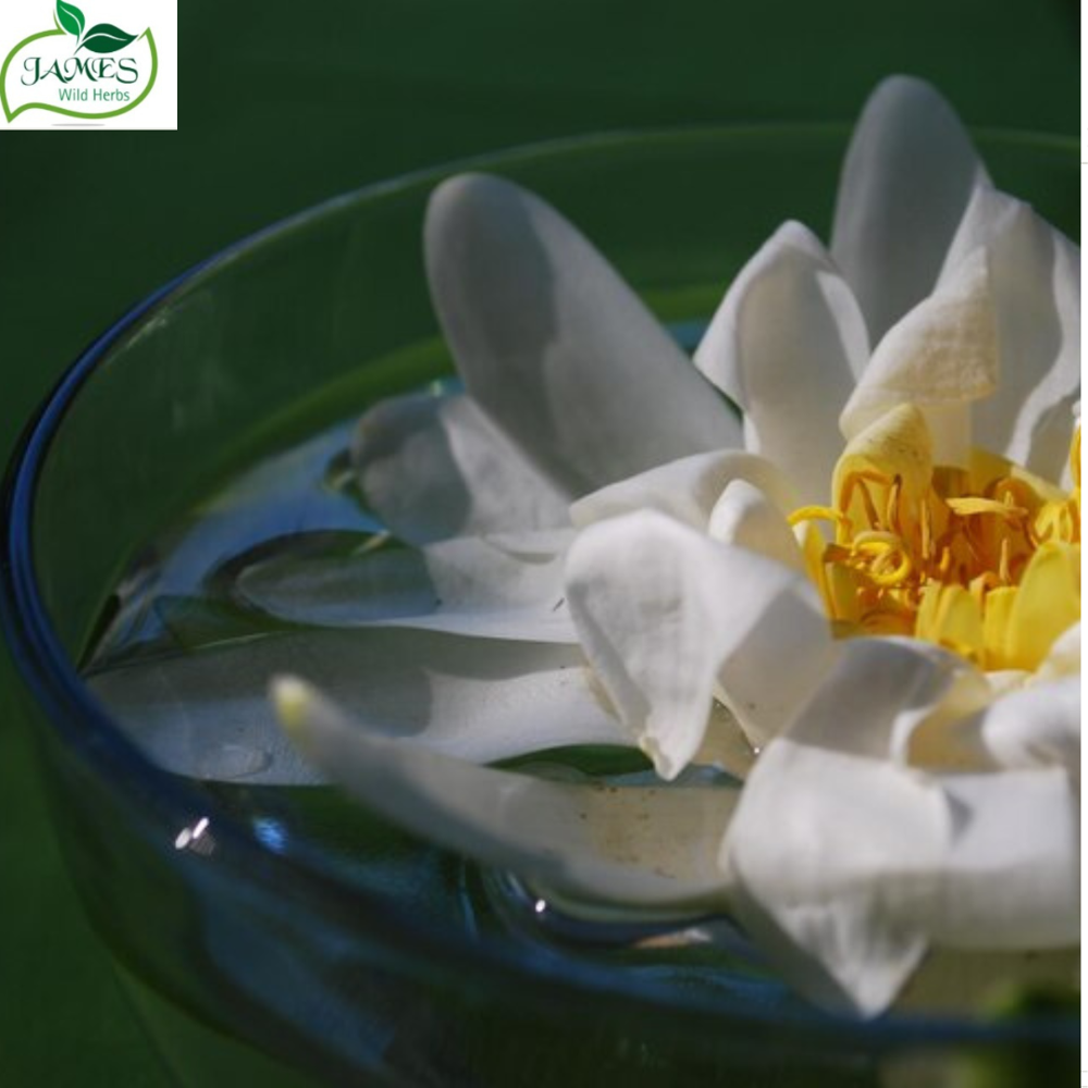 Orchid Hydrosol