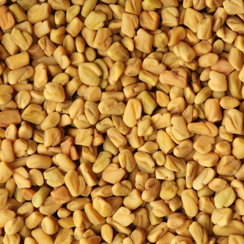 Fenugreek Seeds - Color: Yellow