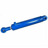 Single Acting Hydraulic Cylinder - Features: Corrosion Resistance