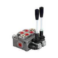 Hydraulic Mobile Control Valve - Material: Stainless Steel