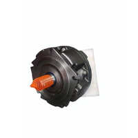 Sai Hydraulic Motor - Speed: 50 Rpm