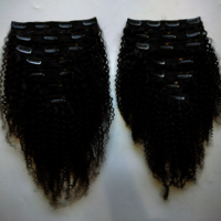 Steam curly human hair clip in set