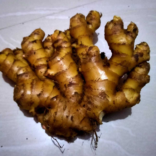 Organic Fresh Ginger