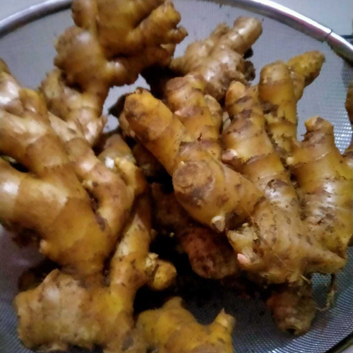 Organic Fresh Ginger