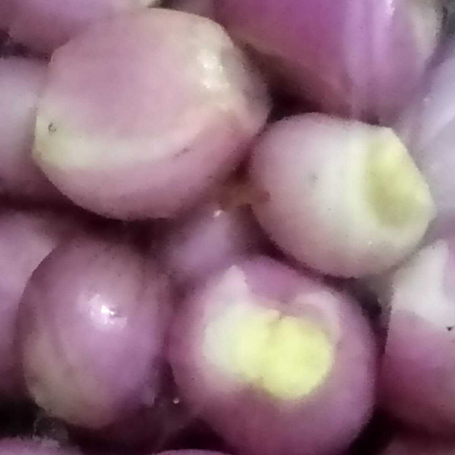 छिले हुए छोटे प्याज़
