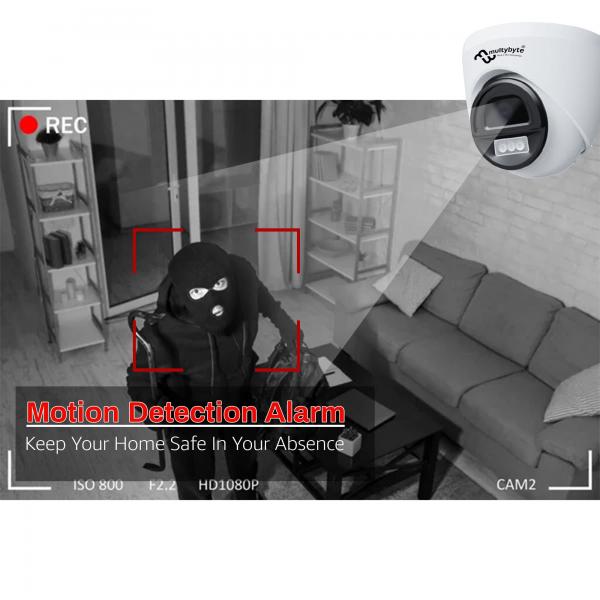 Multybyte Dome Camera 3MP IP Camera (Indoor)