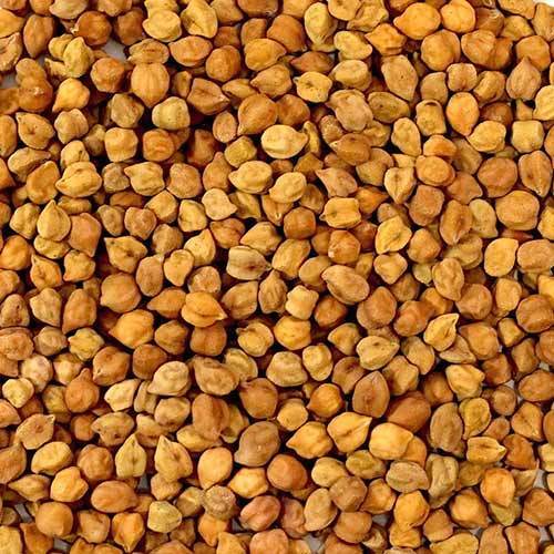 pulses &  lentils