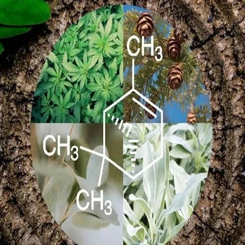 Alpha Pinene Chemical Manufacturers, Suppliers, Exporters From Vasai
