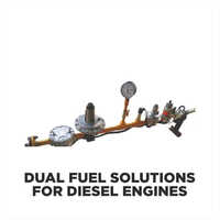 Diesel Engines Dual Fuel Solution - Material: Stainless Steel
