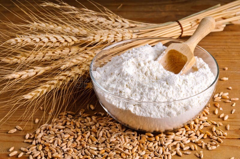 All Purpose Flour