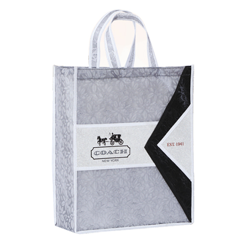 SB 017 Coach Designer Bags