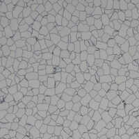 Esd Pvc Tile