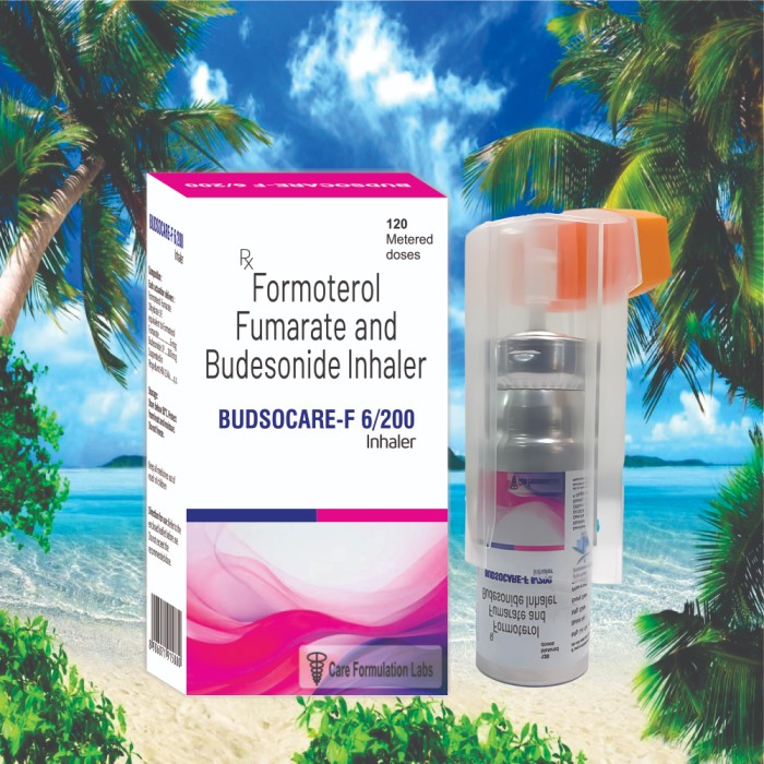 formoterol Fumarate 6mcg + Budesonide IP 200mcg