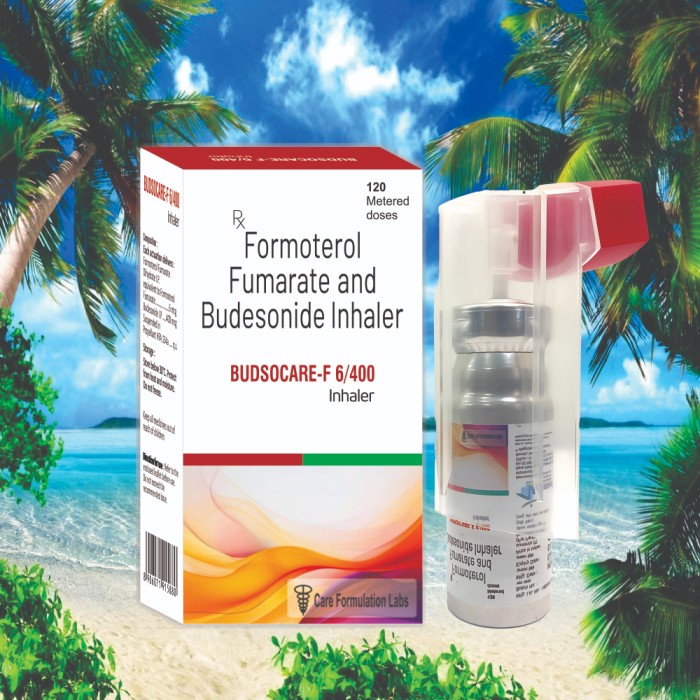 formoterol Fumarate 6mcg + Budesonide IP 400mcg  inhaler
