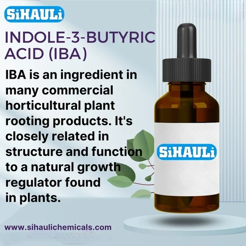 Indole-3-butyric acid (IBA) Manufacturers, Suppliers, Exporters From Vasai