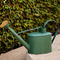 24-77023 Green Water Cane - Finish: Not Coated