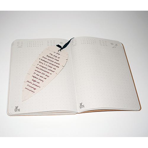 Cork Softbound Diary