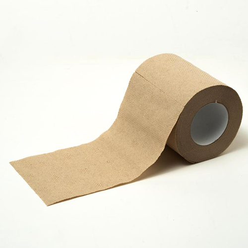Recycled Toilet Rolls