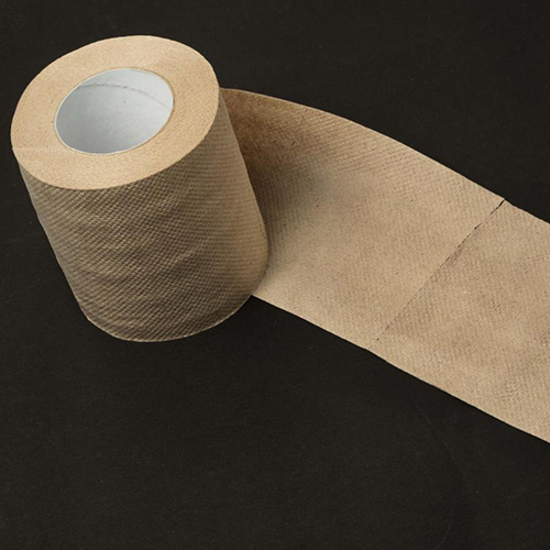Recycled Toilet Rolls