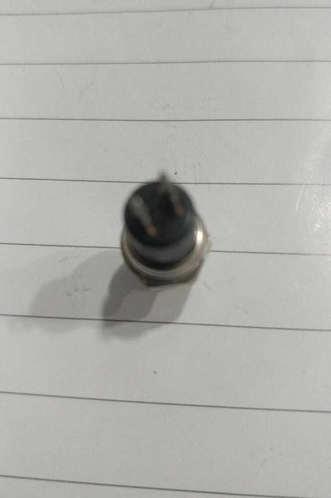 Push Button Switch PBS 110 No Lock 2 Pin