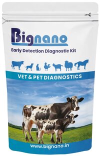 Goat Pregnancy Rapid Test Kit - 15min Lateral Flow Immunoassay , Unisex 5 Test Capacity, 18 Months Shelf Life For Vet Labs And Clinics