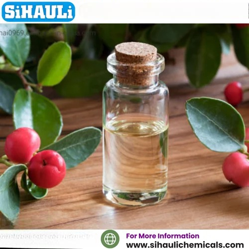 Methyl Salicylate Oil Manufacturers, Suppliers, Exporters From Vasai Mumbai