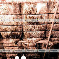 Black Agricultural Wire - Mushroom Cultivation Racks Wire - Conductor Material: Steel