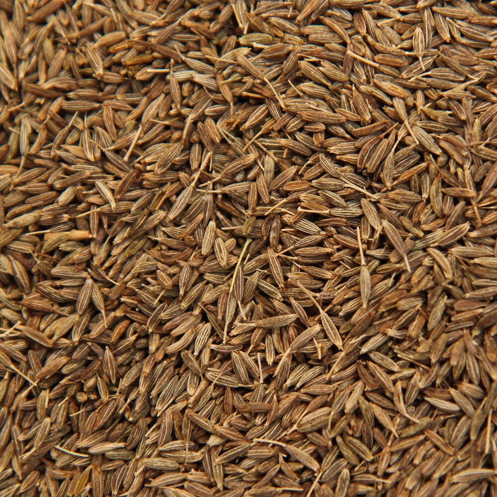 Cumin Seeds - Color: Brown