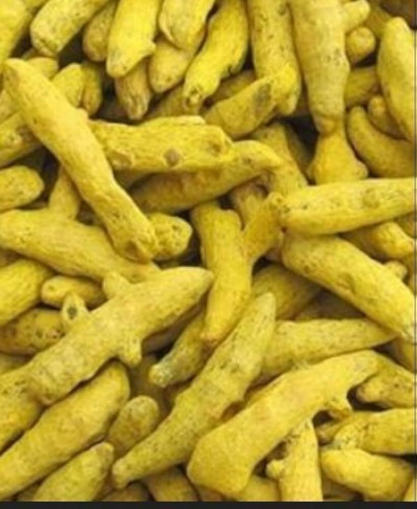 जैविक हल्दी का छड़ी