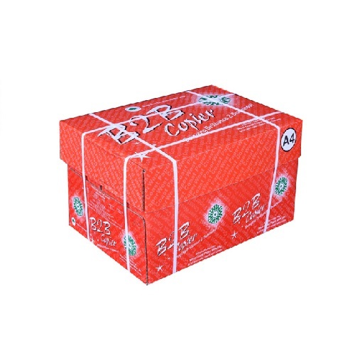 B2B Copier Paper