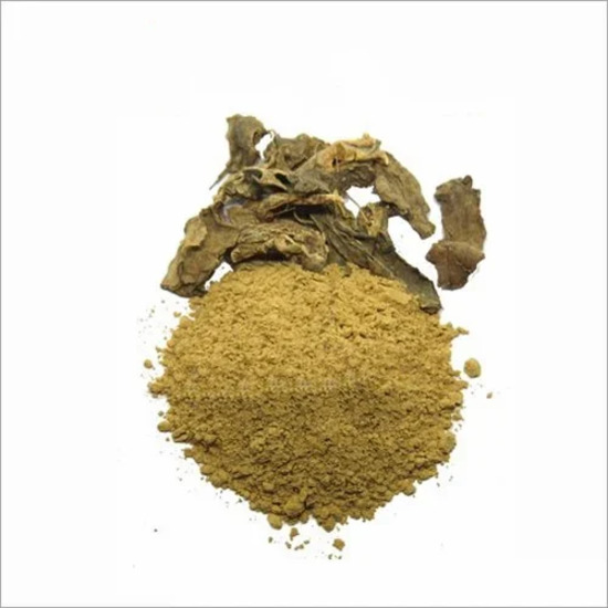 Sida Acuta Extract (Common Wireweed)