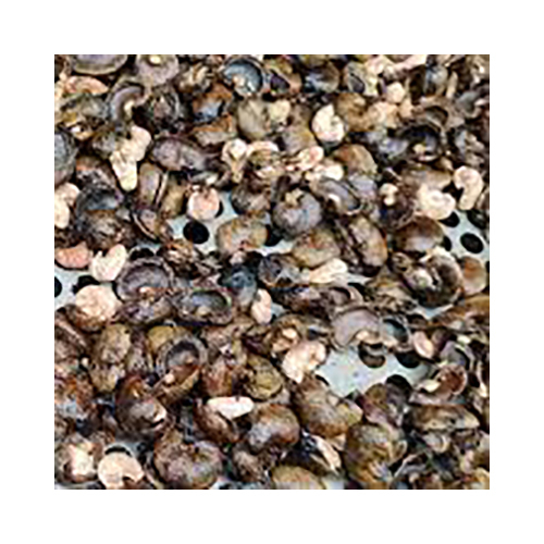 Cashew Shell - Color: Brown