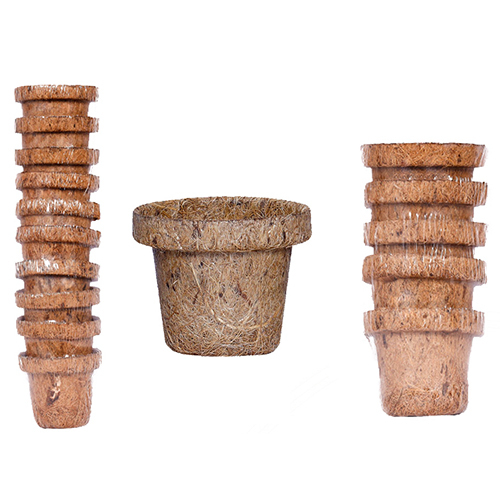 2 Inch Coco Seeding Cup