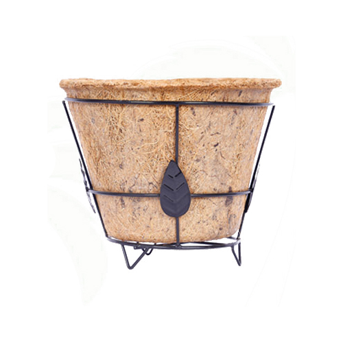 6 Inch Coco Pot