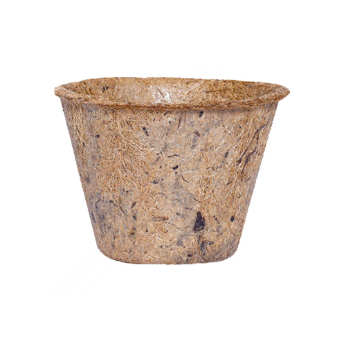 7 Inch Coco Pot