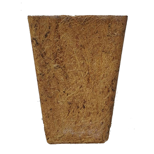 Coco June Pot