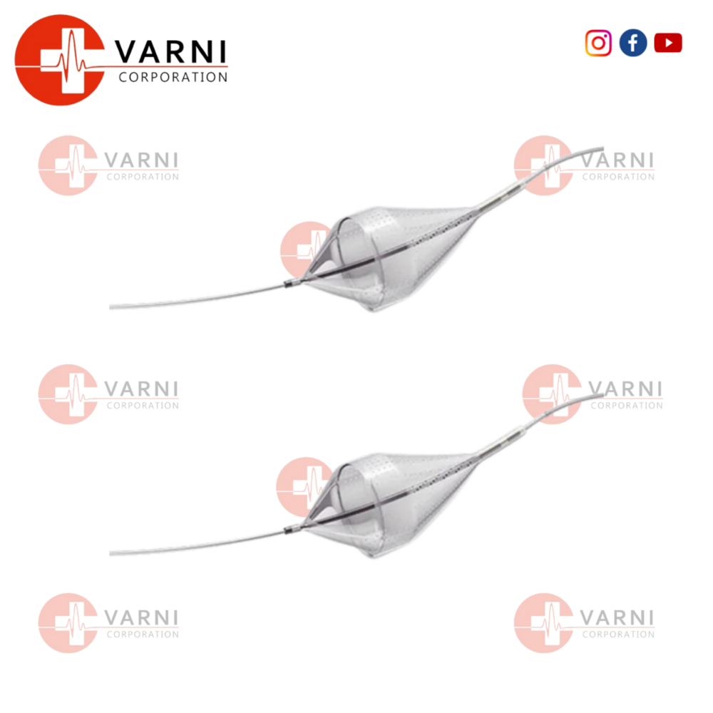 Emboshield Nac6 Carotid Filte