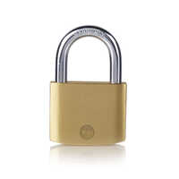 1 Yale Brass Padlock With Hardened Steel Shackle - Finish: Matte Finish