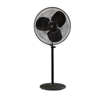 Farrata Fan Traders - Color: Black