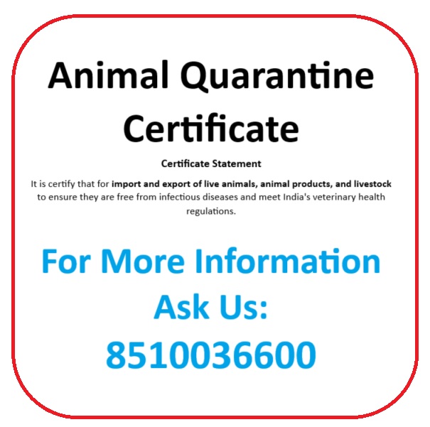 Animal Quarantine Certificate