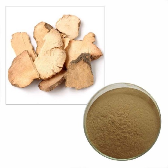 Smilax Glabra Roxb. Extract
