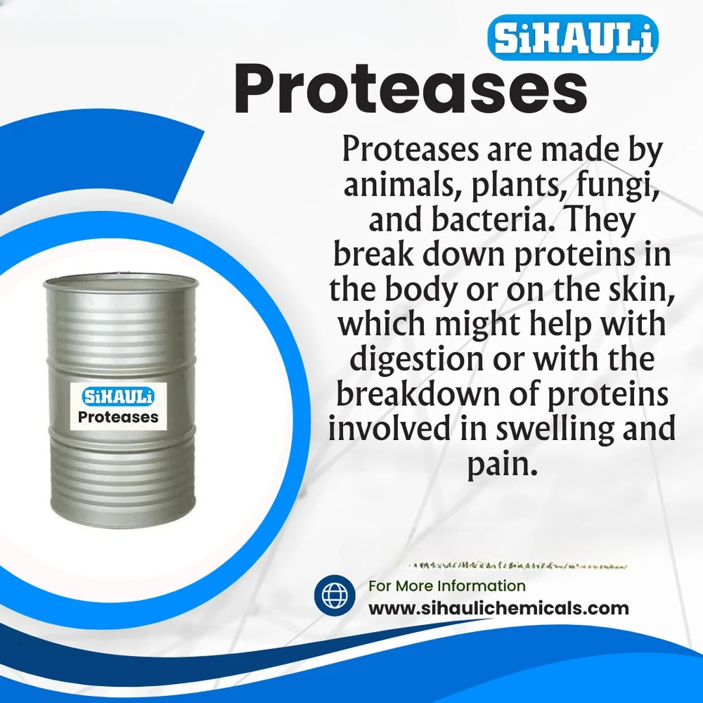 Protease Manufacturers, Suppliers, Exporters From Vasai Mumbai India