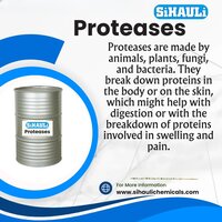 Protease Manufacturers, Suppliers, Exporters From Vasai Mumbai India - Laboratory Grade Powder, Molecular Weight 45 Kda, Purity 99%, Ph 5.0-8.0, Temperature Range About 60â°c