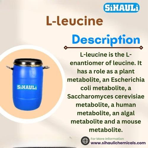 L-Leucine Manufacturers, Suppliers, Exporters From Vasai Mumbai India