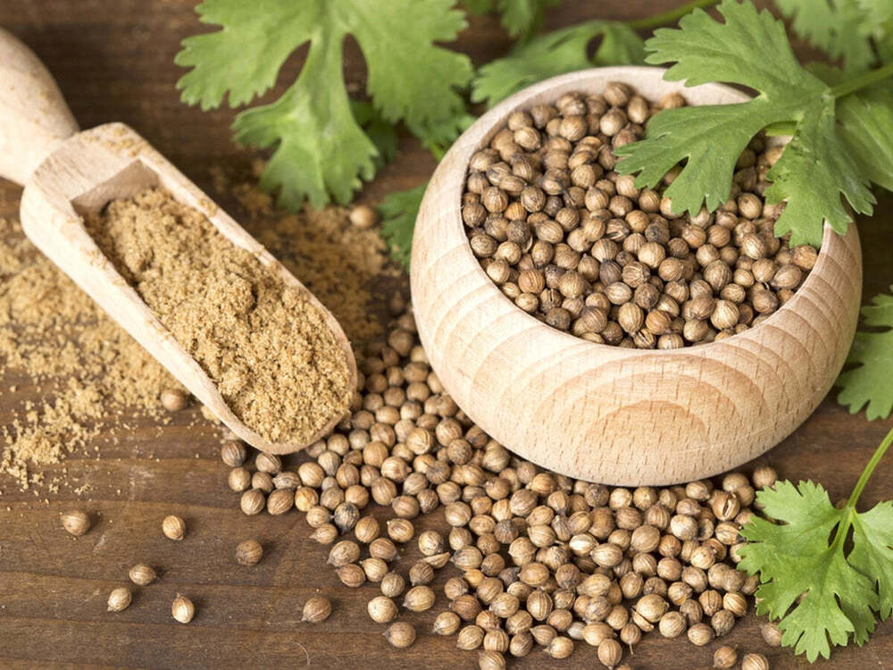 Coriander Seeds - Color: Natural