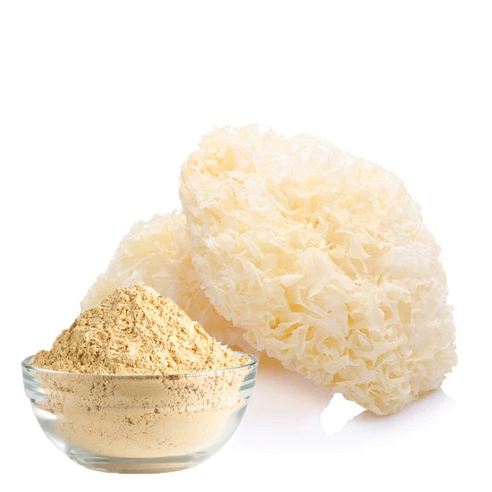 Snow Mushroom Extract