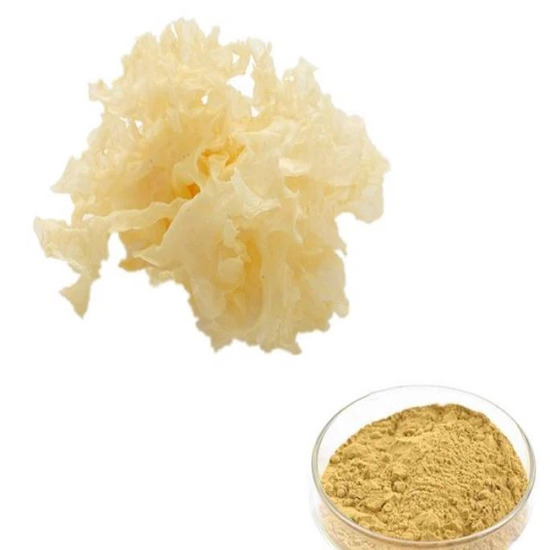 Snow Mushroom Extract