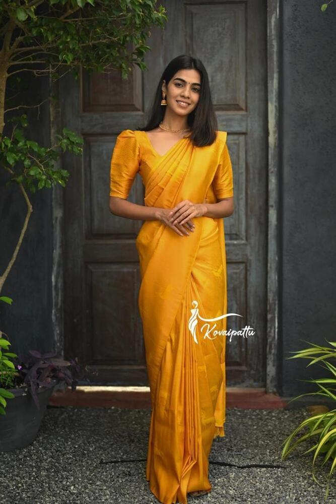 Soft Silk Saree - Bust Size: 44 Inch (In)