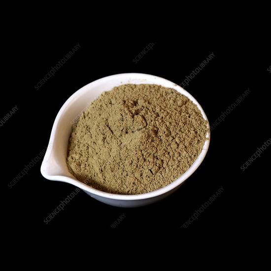 Cordia Latifolia Extract